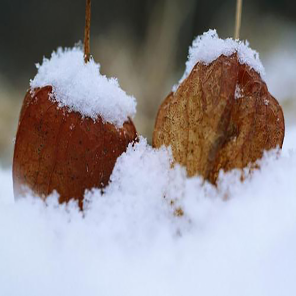 海南人造雪粉